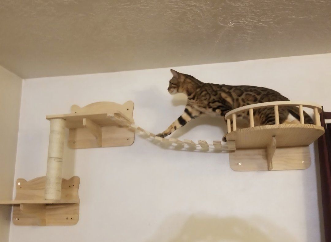 Main image 18