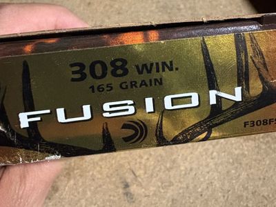 308 Ammo