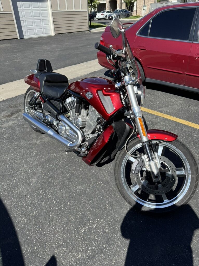2009 Harley-Davidson V-Rod Muscle