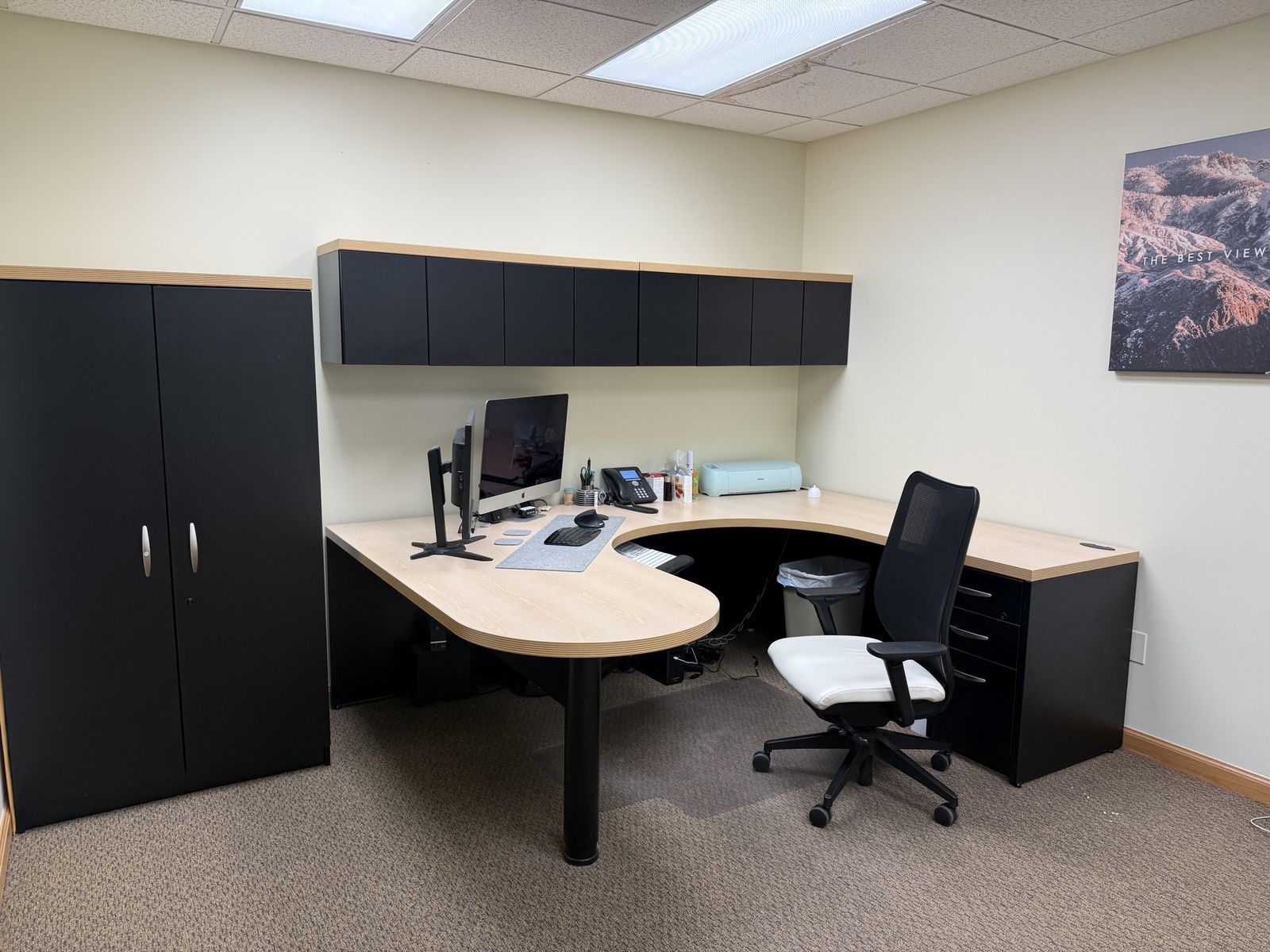 Desk and Cabinet Combo