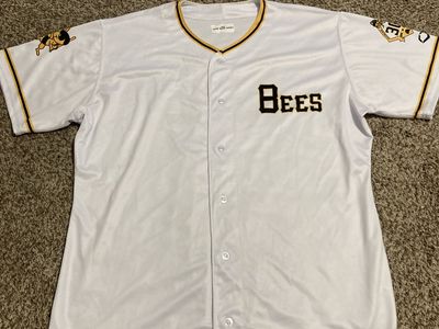Game Worn SL Bees Jersey $150
