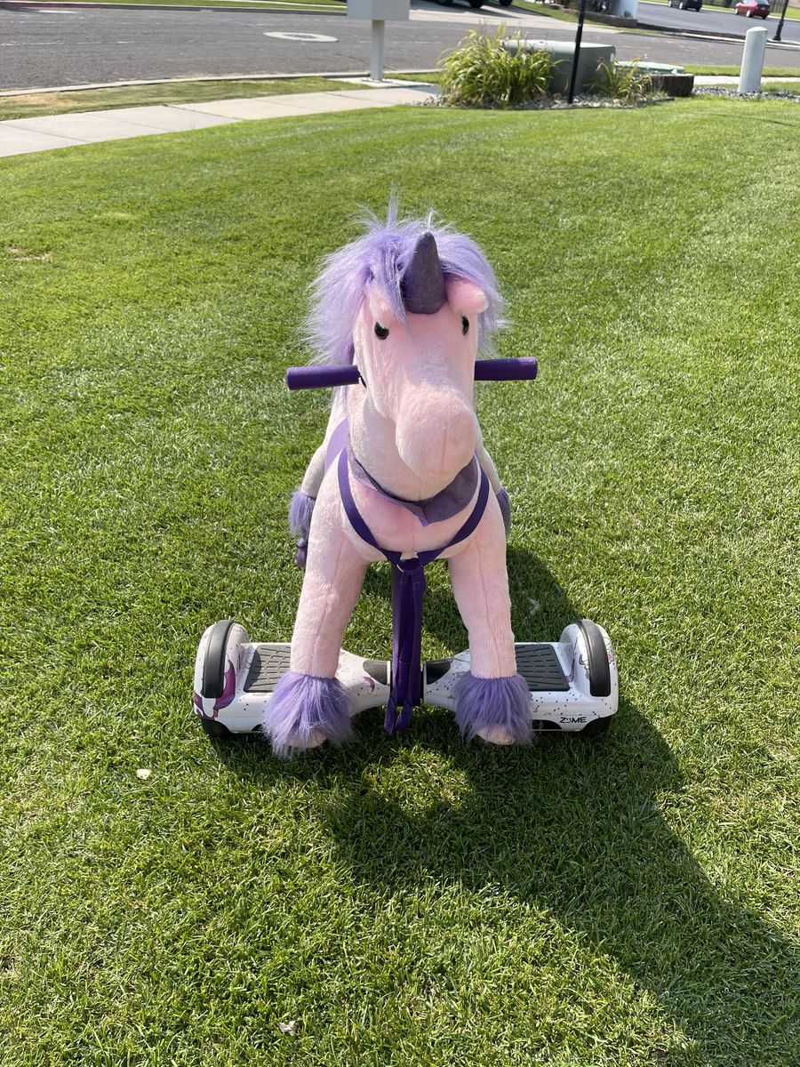 Power pony