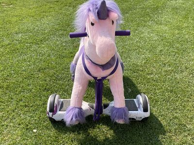 Power pony