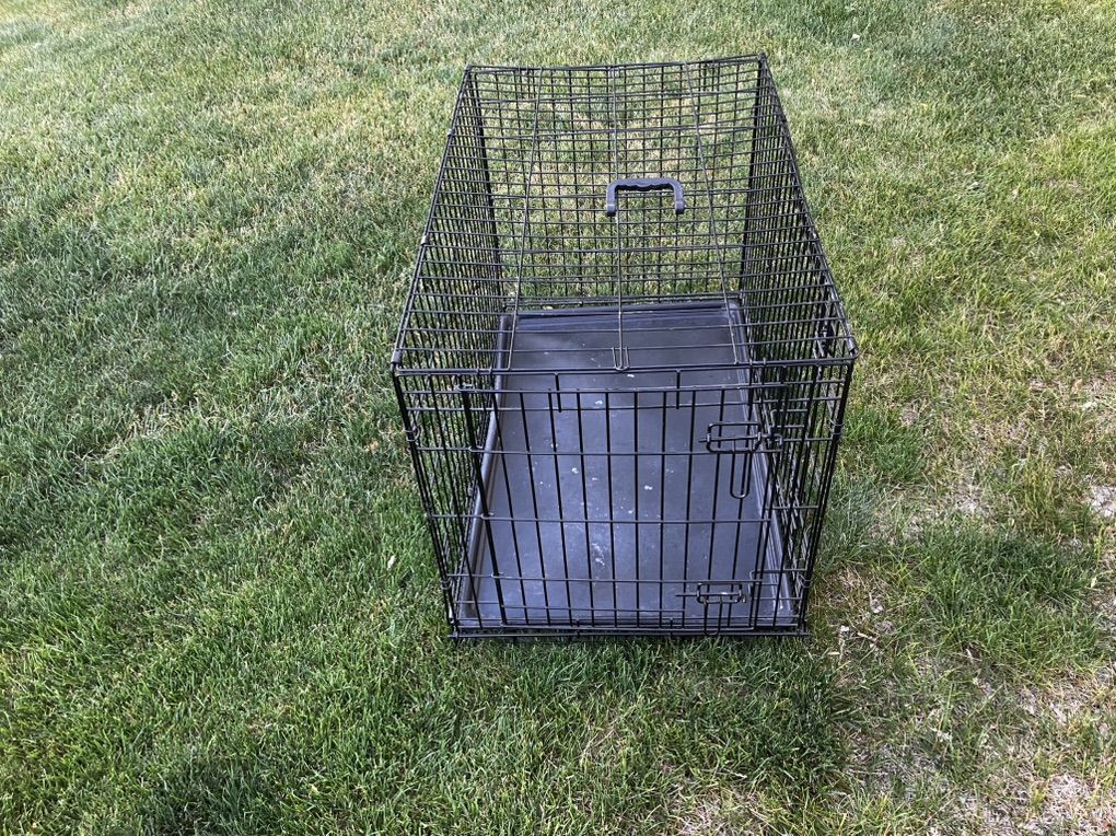 Dog Kennel