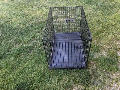 Dog Kennel