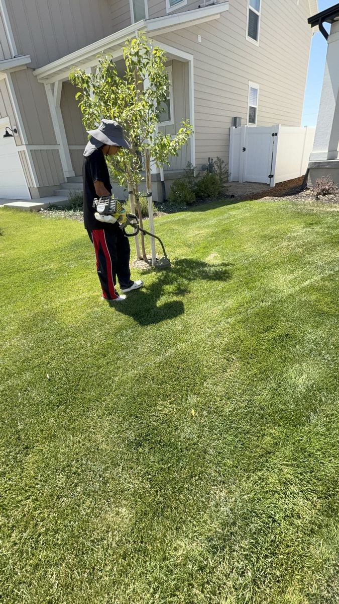 Lawn Mowing