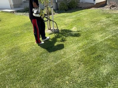 Lawn Mowing