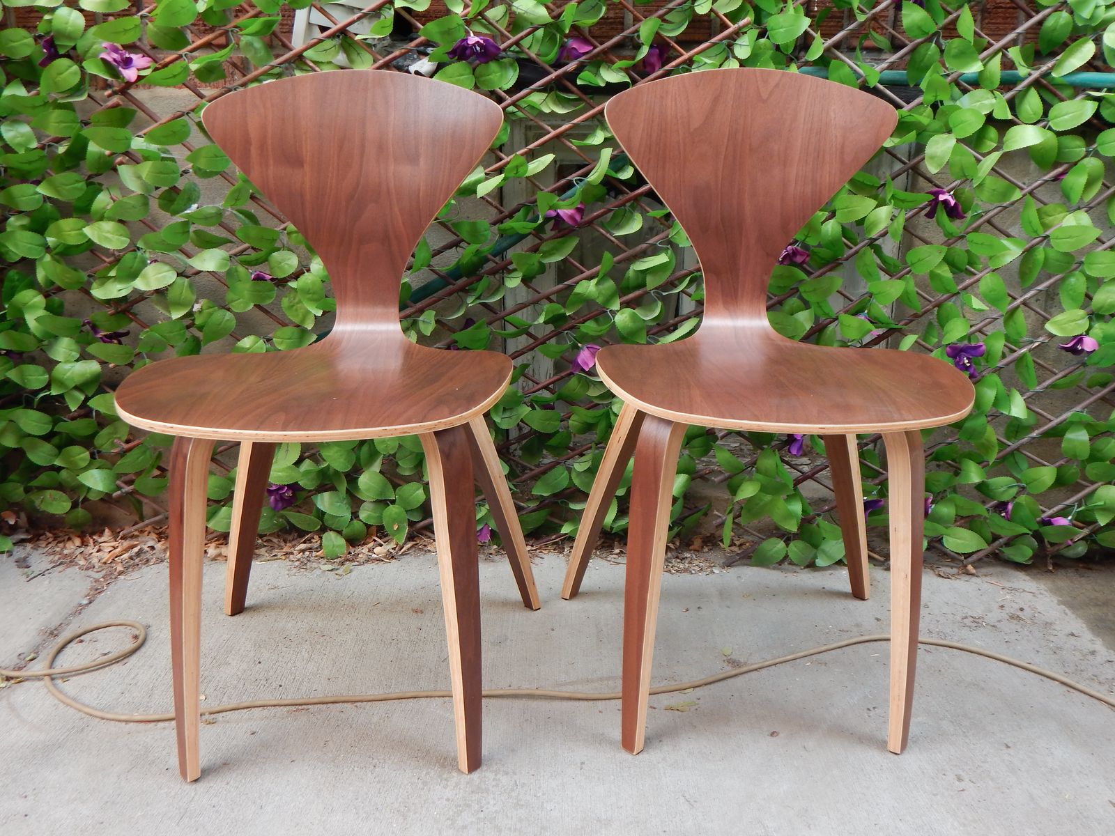 Modern Mid Century Chair. In stock: Set 2 new Wooden chairs