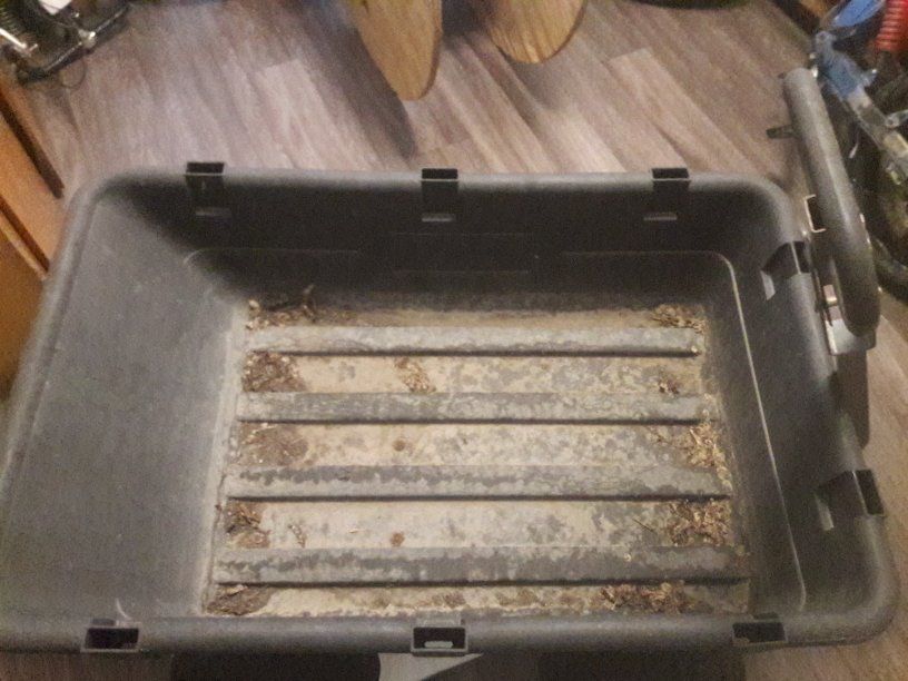 Main image 4