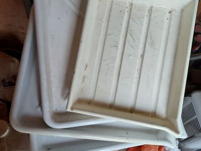Darkroom Developing Trays