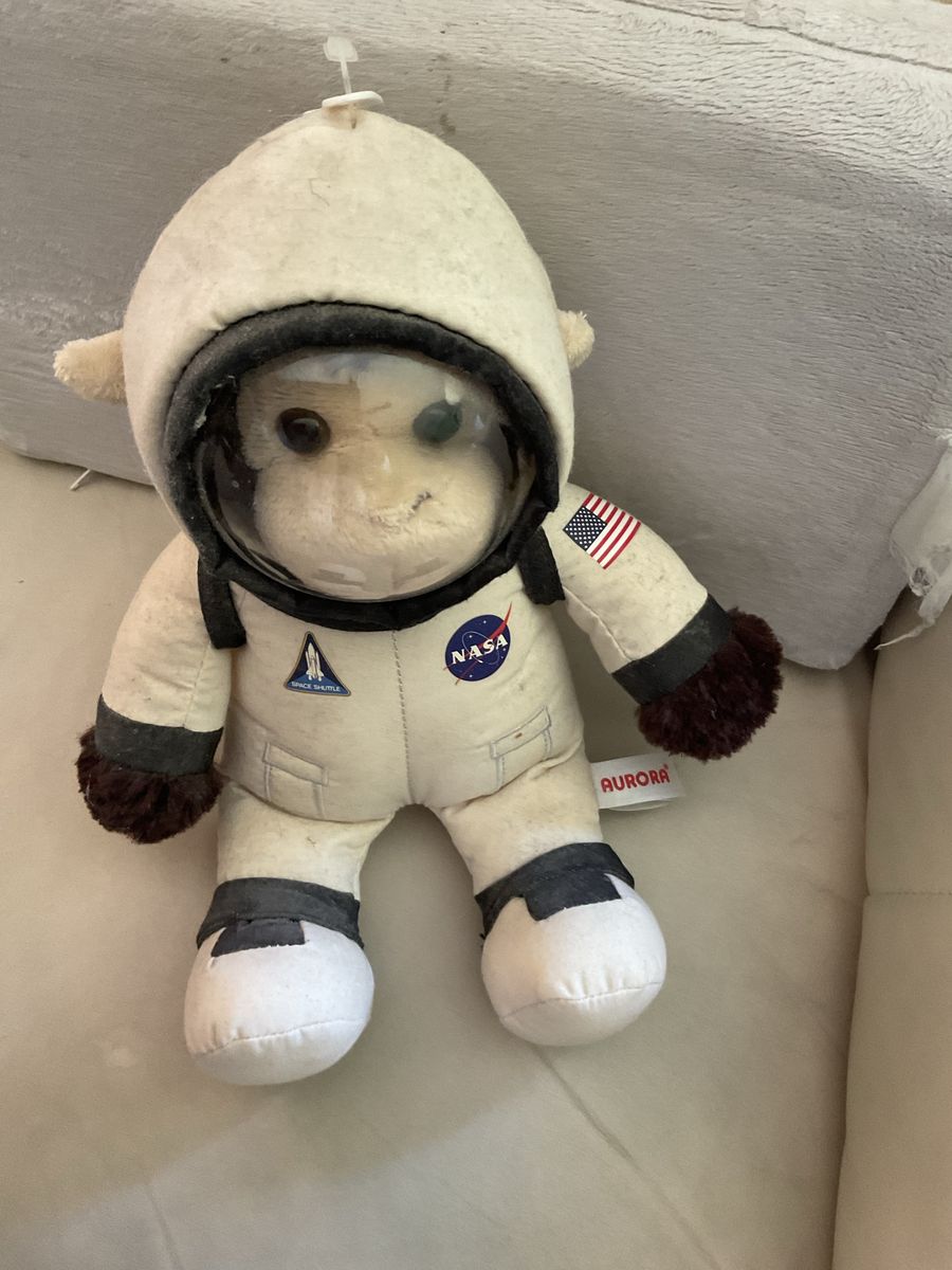 NASA Astronaut Monkey