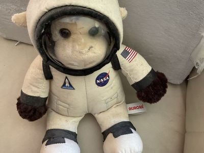 NASA Astronaut Monkey