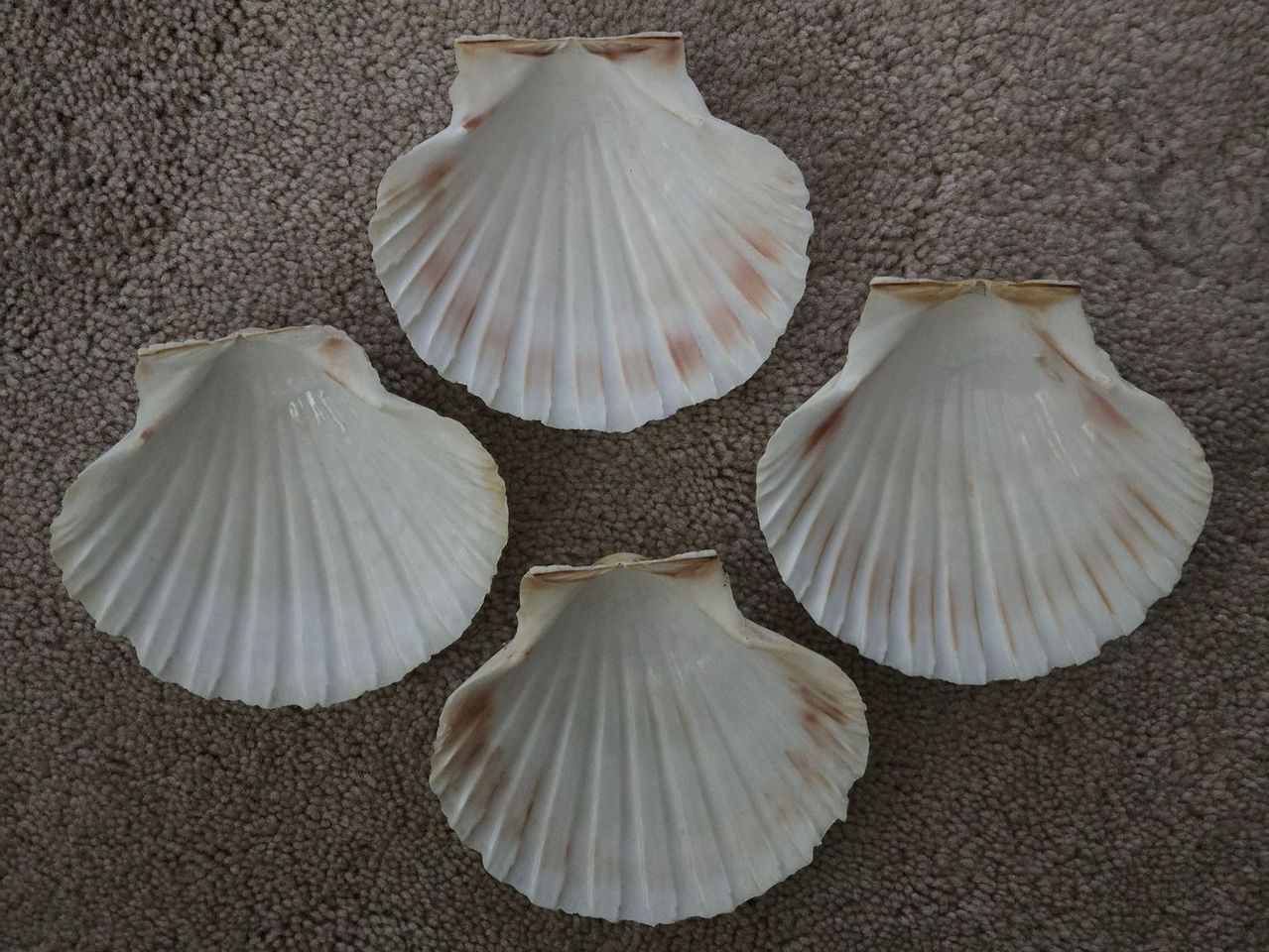 Main image 1