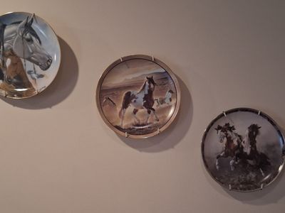 Horse art
