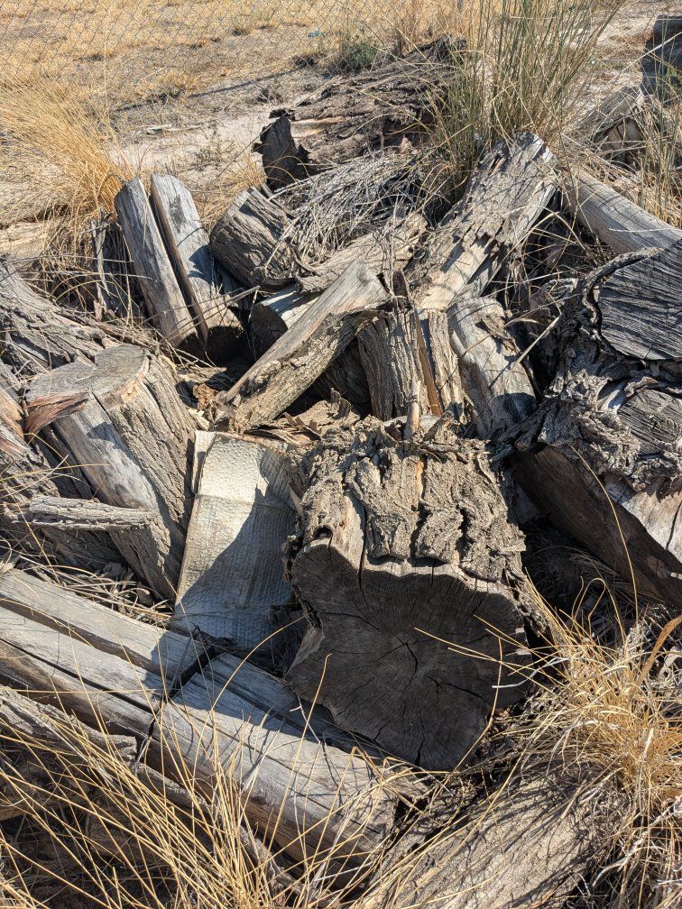 Assorted Firewood Logs and Cut Wood Pieces
