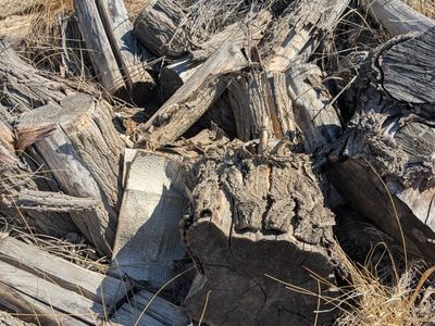 Assorted Firewood Logs and Cut Wood Pieces