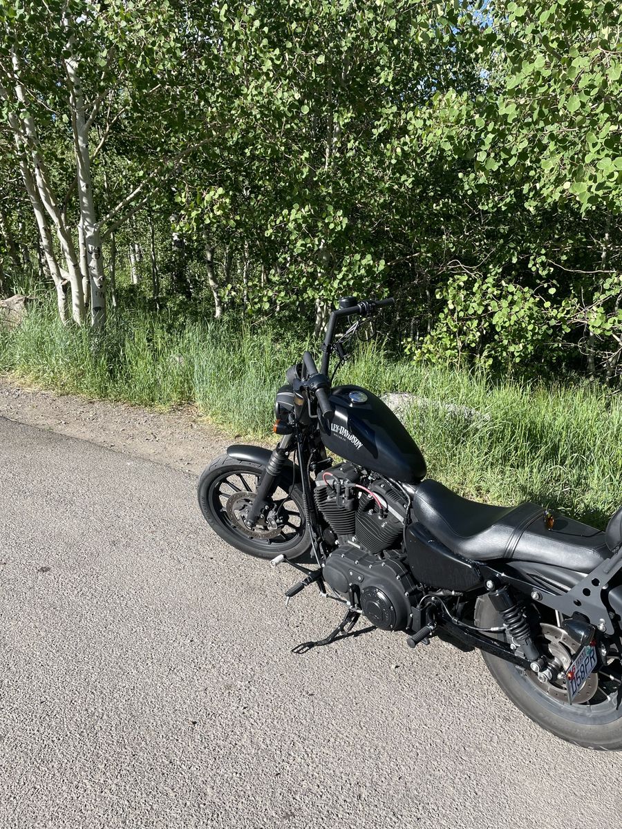 2014 Harley Davidson XL883