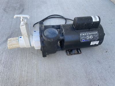 Waterway Executive High Performance Pool & Spa Pump - PF-40-1N22C, 230V, 12A