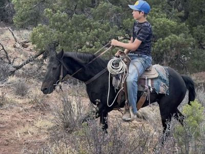 Fun pony for sale!