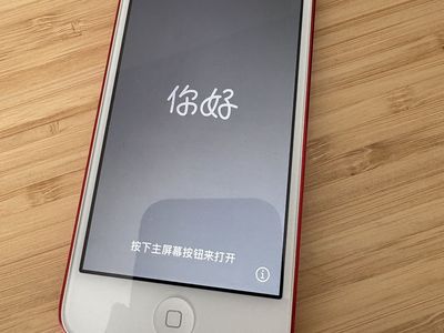 iPod Touch 32GB (7th Gen)