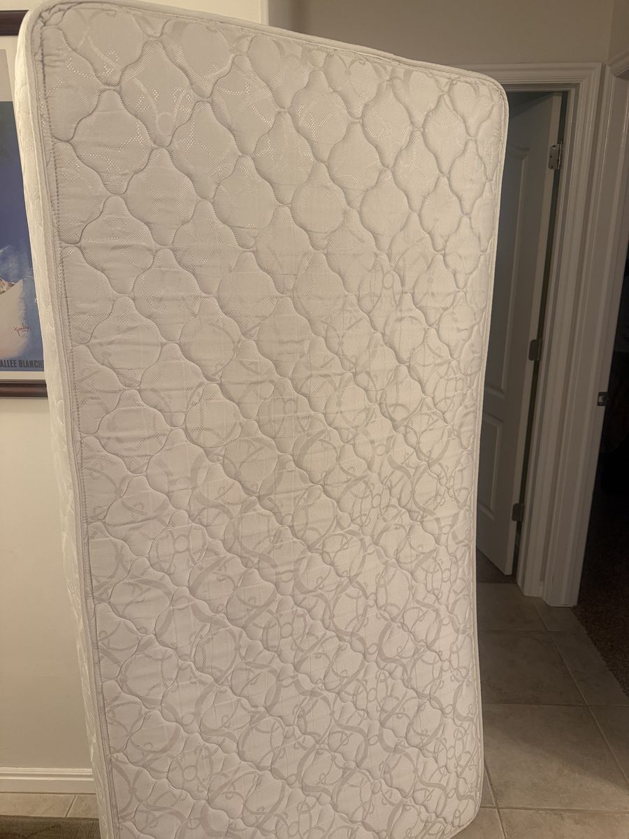 FREE twin mattress