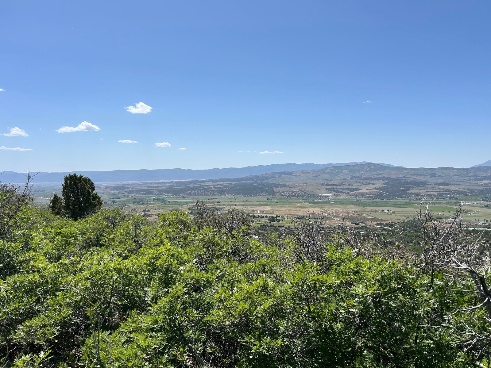 Main image 3