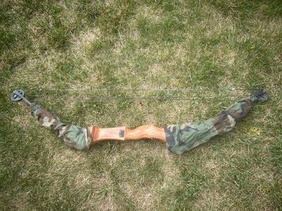 Compound Bow with Sleeves