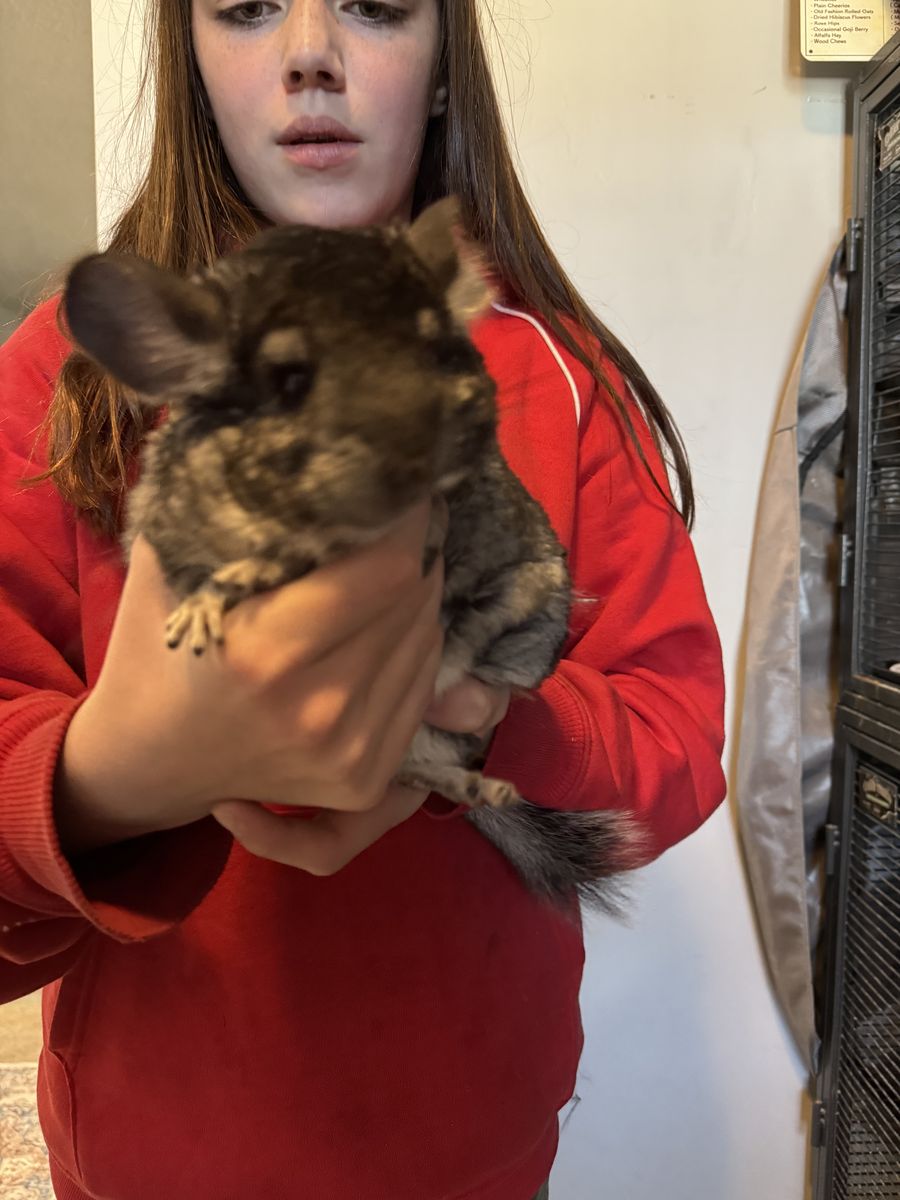 Two Females Cage and EverythIng