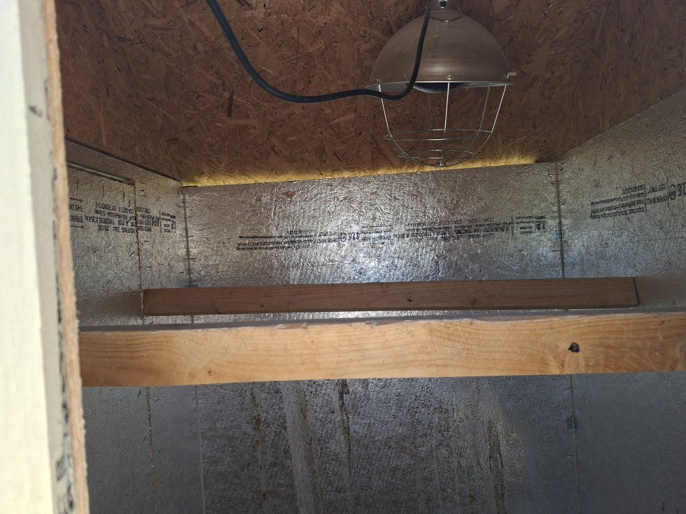 Main image 4