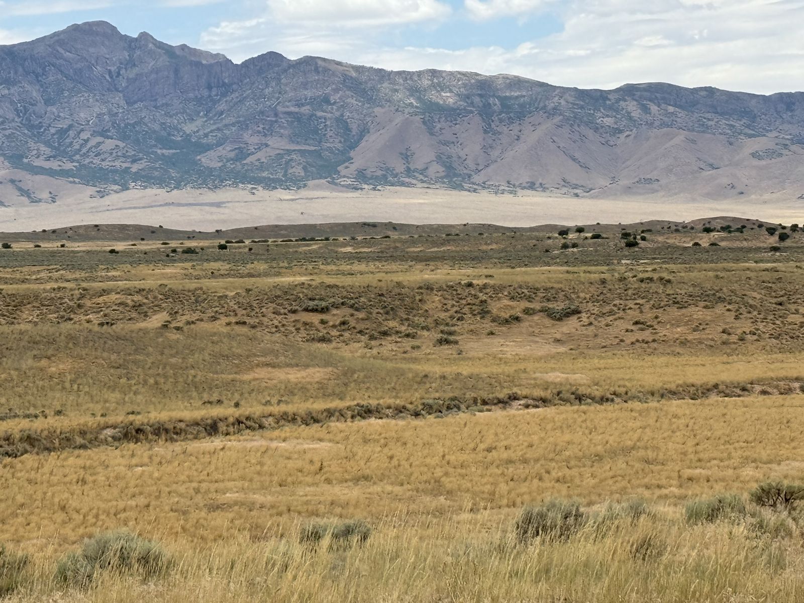 Main image 8