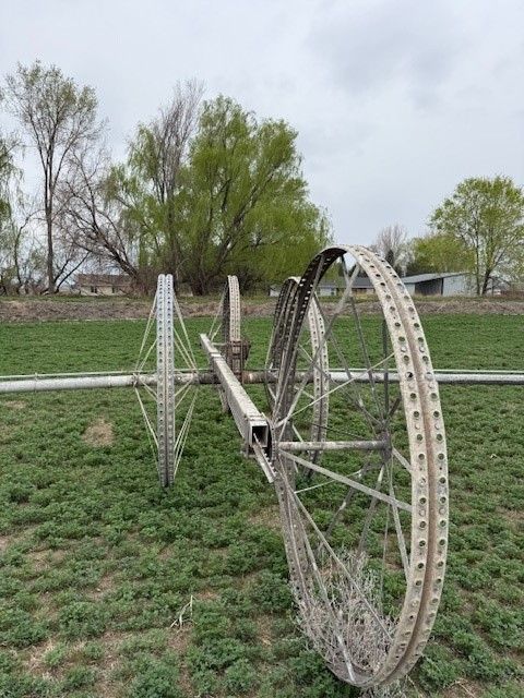 2-Thunderbird Wheel Lines