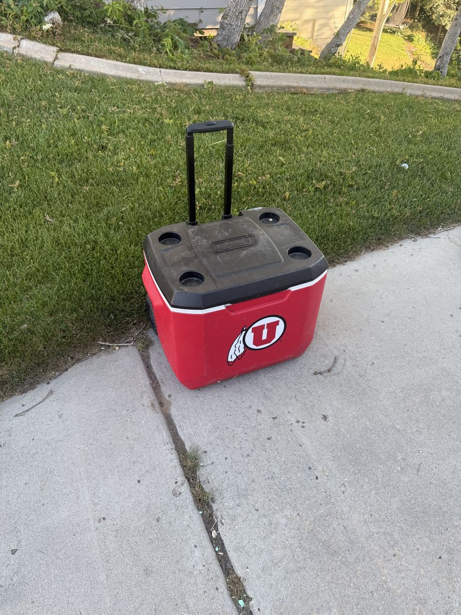 Ute cooler