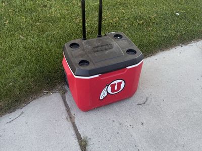 Ute cooler