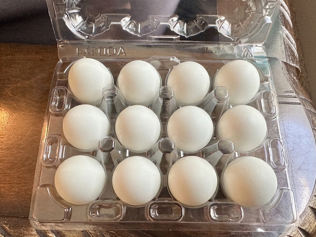 Fresh Fertile Celadon Hatching Eggs Coturnix Quail $10 for Half a Dozen