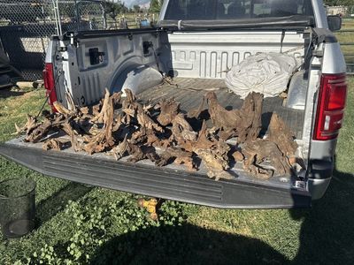 New Stock Malaysian Driftwood