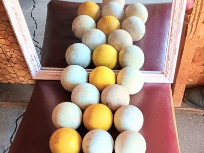 PRACTICE LACROSSE BALL