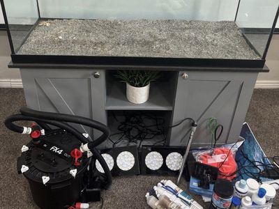 75 gallon saltwater aquarium full set up