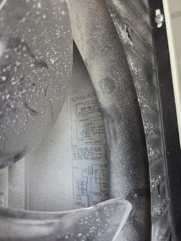 Main image 10