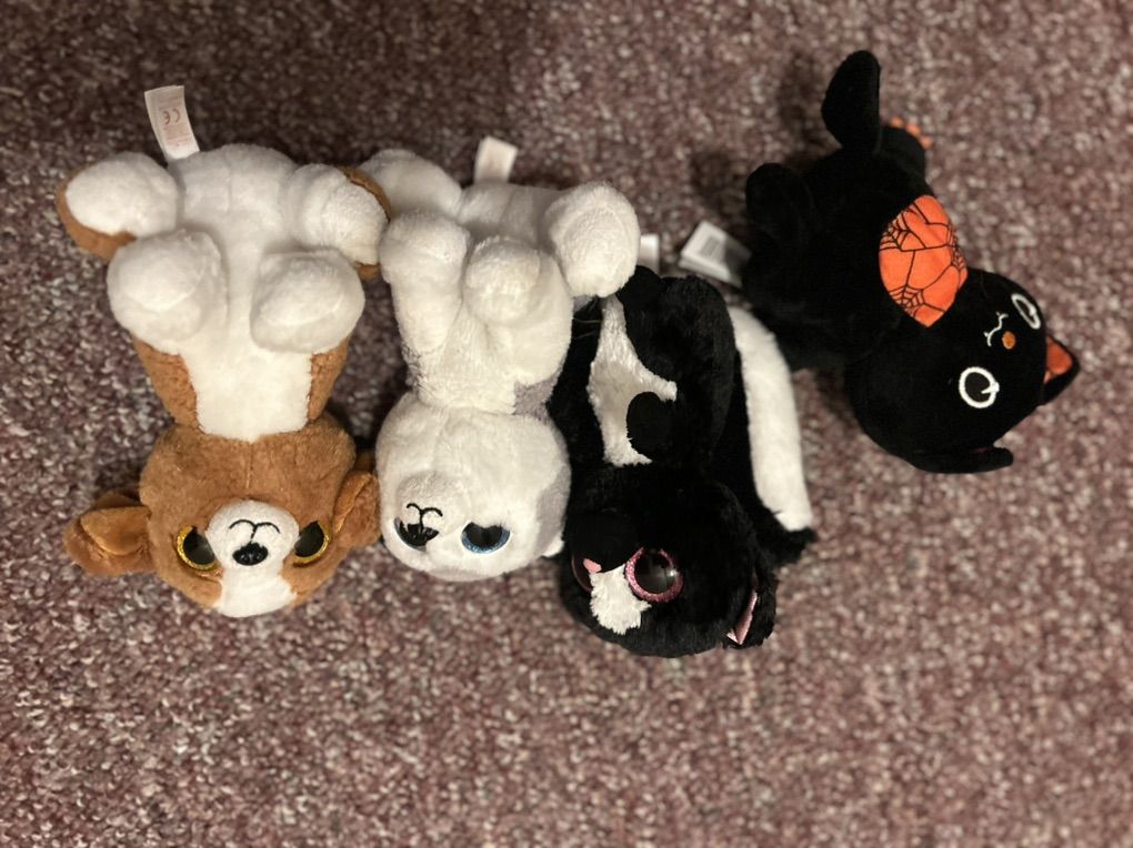 Free TY Stuffed Animals
