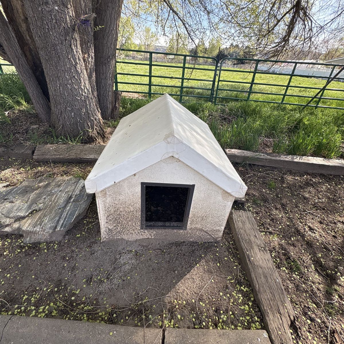 Big wooden dog house