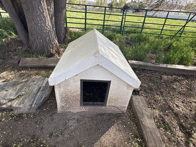 Big wooden dog house