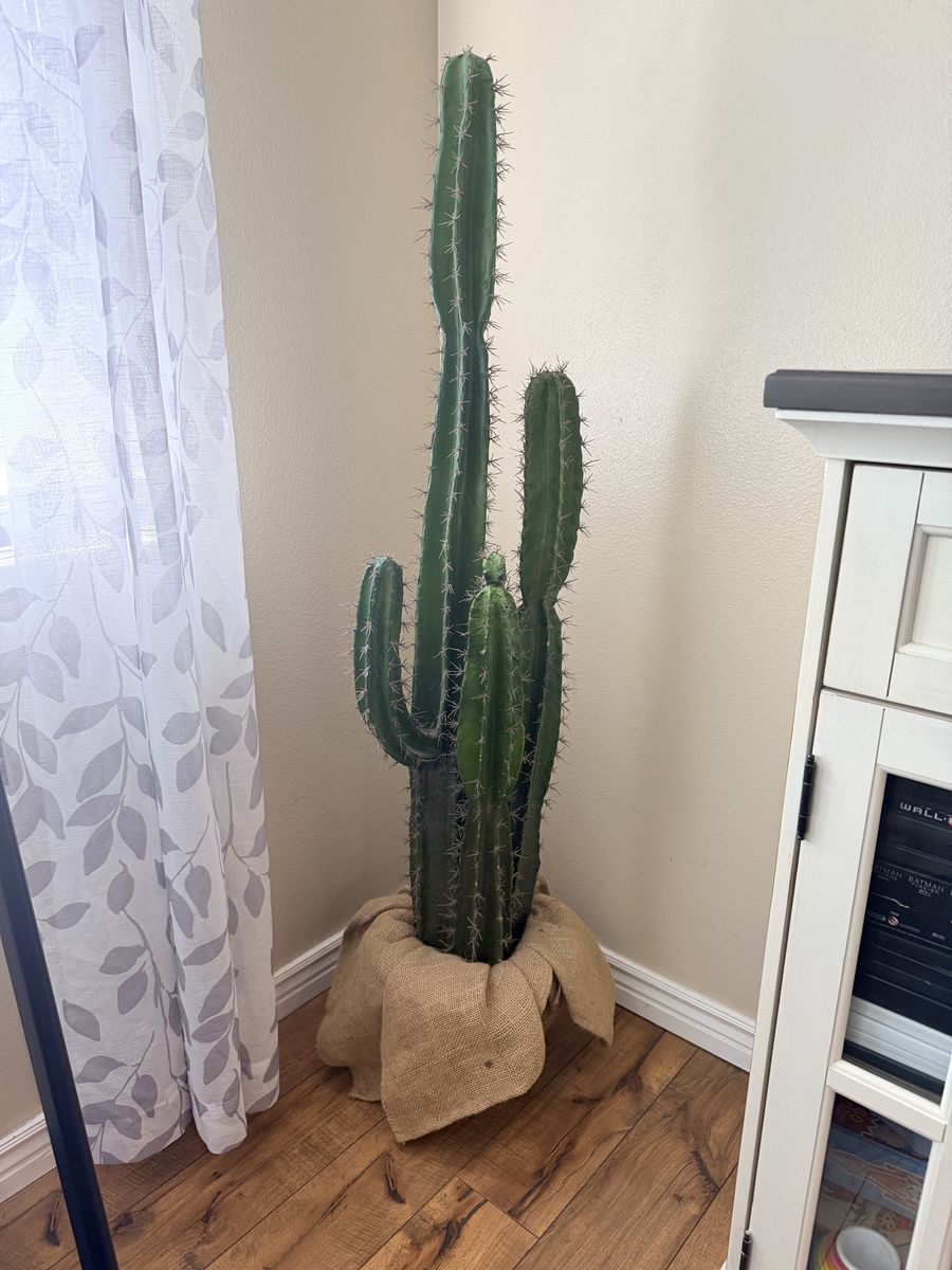 Big Cactus  Fake Decor