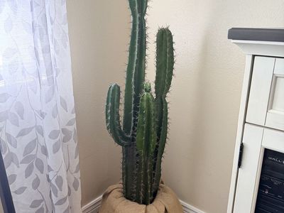 Big Cactus Fake Decor