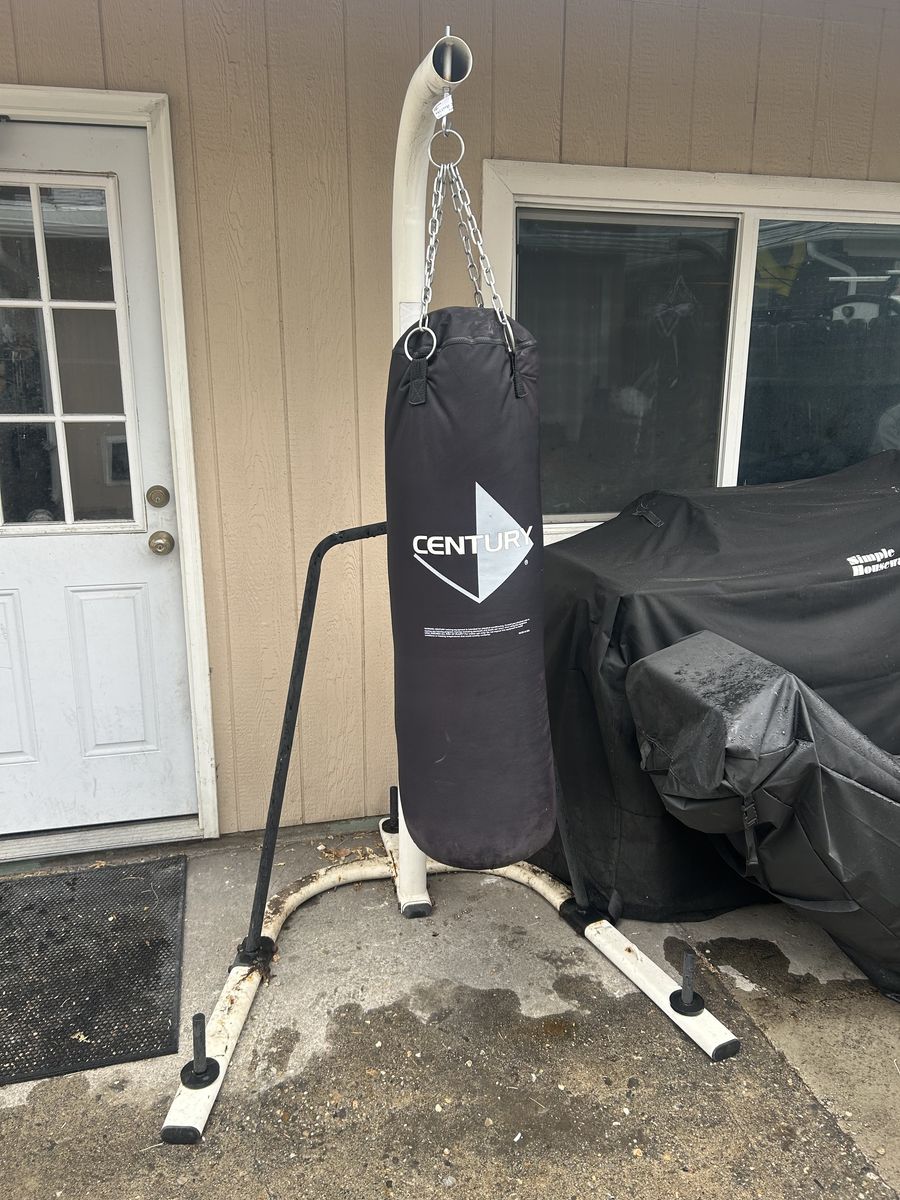 Punching bag with stand