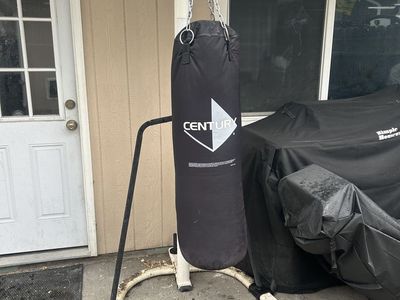 Punching bag with stand