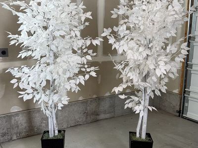 72 Faux Decorative Ficus Trees