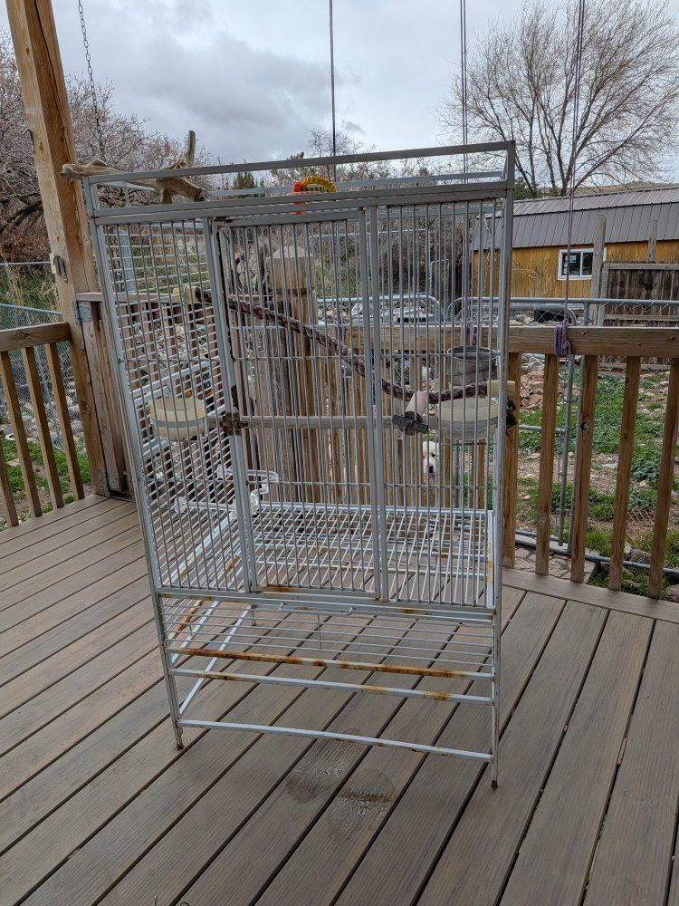 Wrought iron bird cage