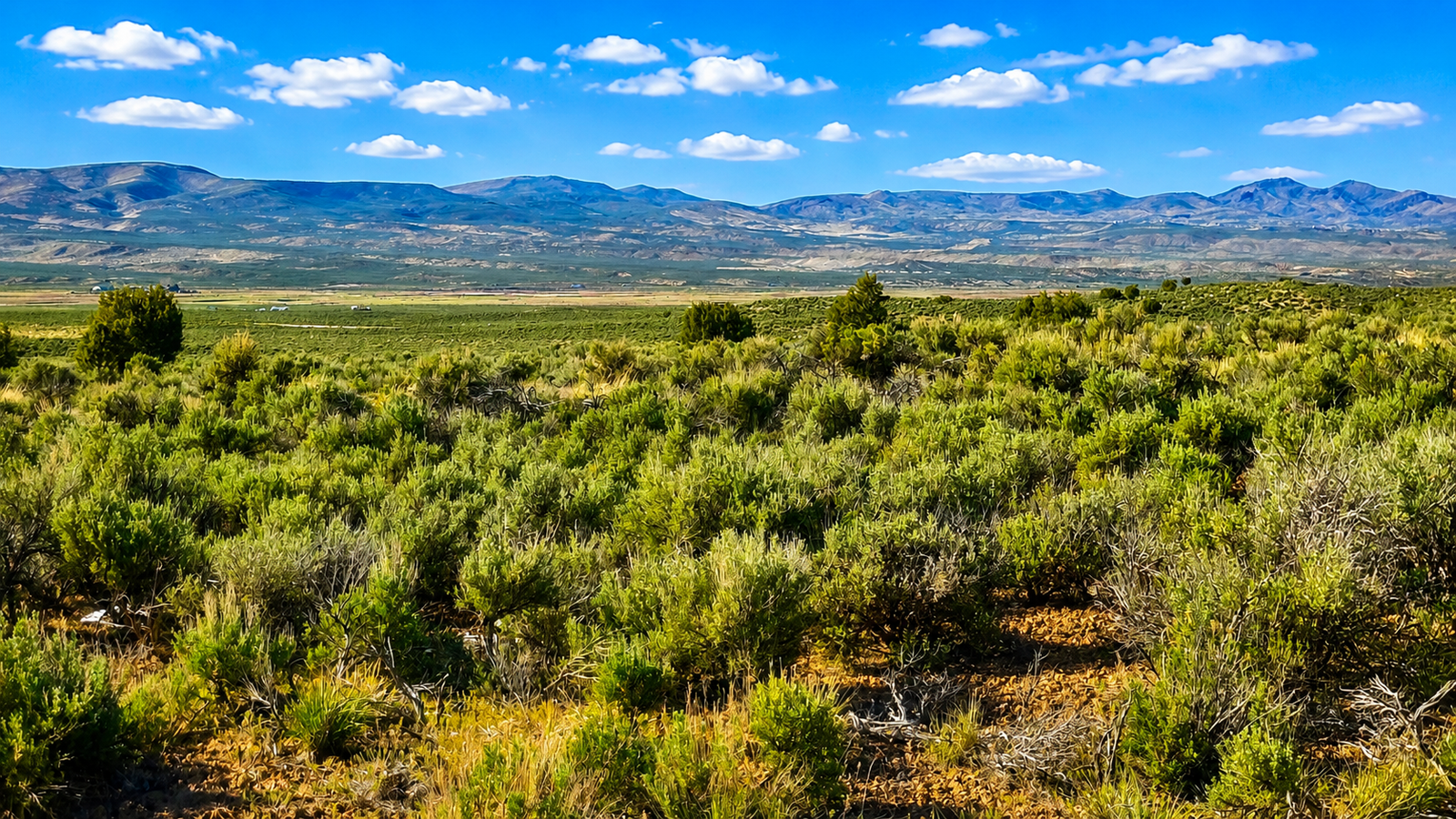 Secluded 1.13-Acre Tiny Home Cabin Site with Mountain Views!