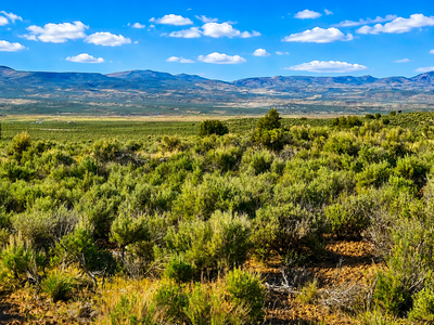 Secluded 1.13-Acre Tiny Home Cabin Site with Mountain Views!