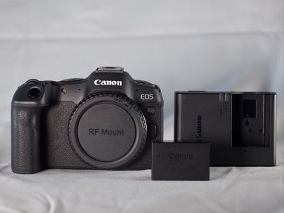 Canon r8 low shutter count